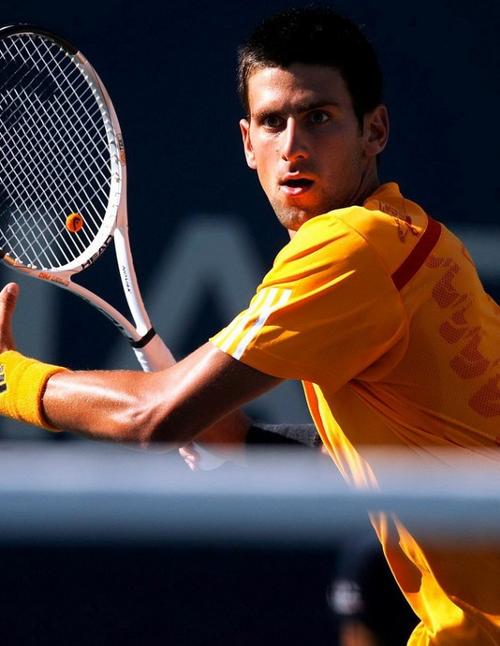 的把握能力 的把握能力