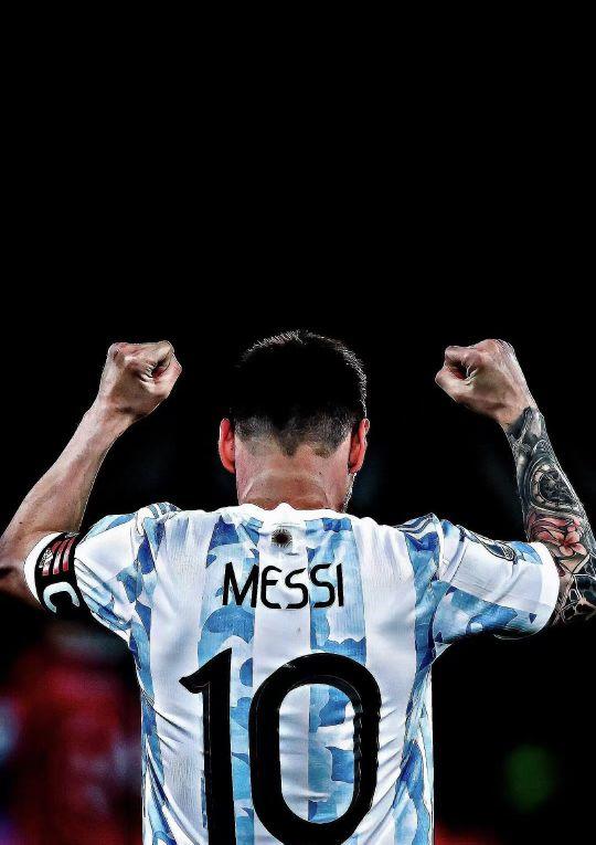 小琴则以其 小琴则以其