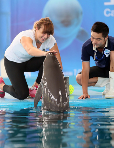 一些可圈可 一些可圈可